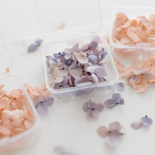 ✧ 50% OFF ✧ Dried Hydrangea Petals, 32 Colours