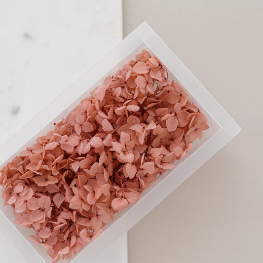 English Rose – Dried Hydrangea Box