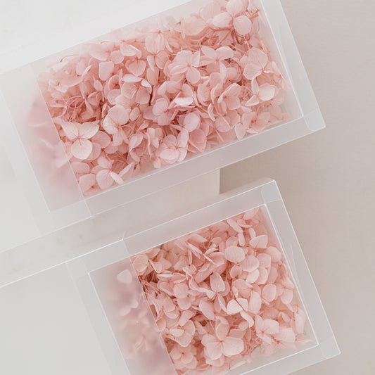 Pale Blush – Dried Hydrangea Box