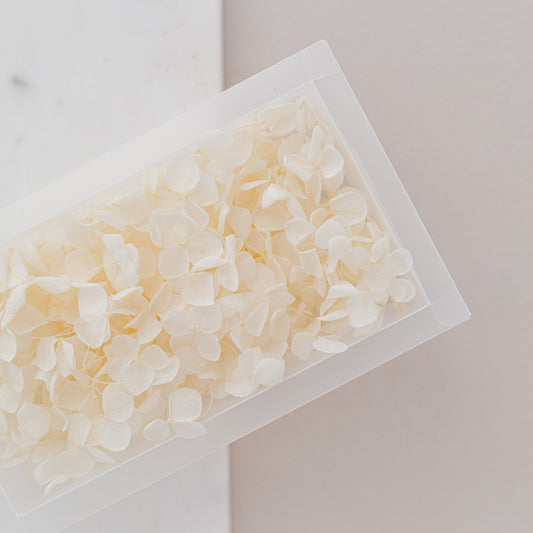 Cotton – Dried Hydrangea Box