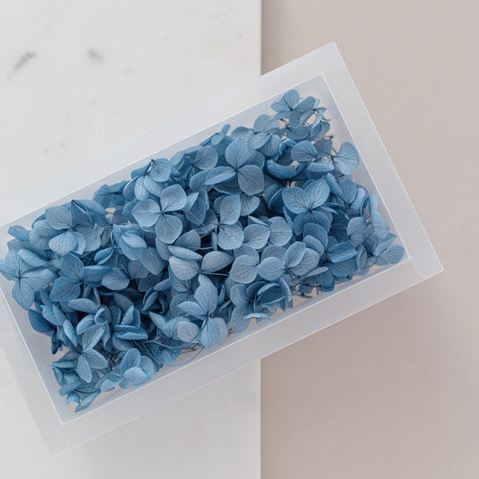Midnight Blue – Dried Hydrangea Box