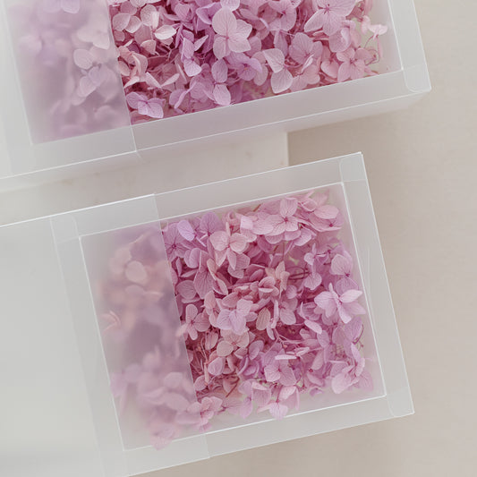 Mauve – Dried Hydrangea Box