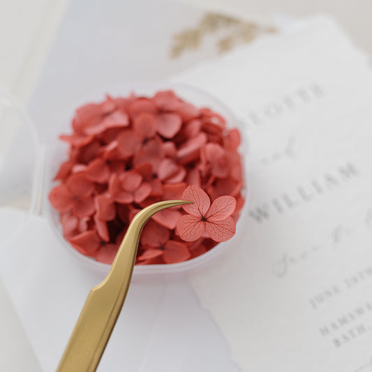 Merlot – Dried Hydrangea Petals