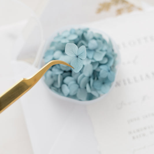 Aegean – Dried Hydrangea Petals