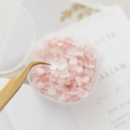 Pale Blush – Dried Hydrangea Petals