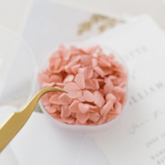 English Rose – Dried Hydrangea Petals