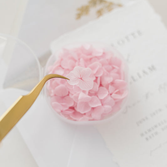 Orchid – Dried Hydrangea Petals