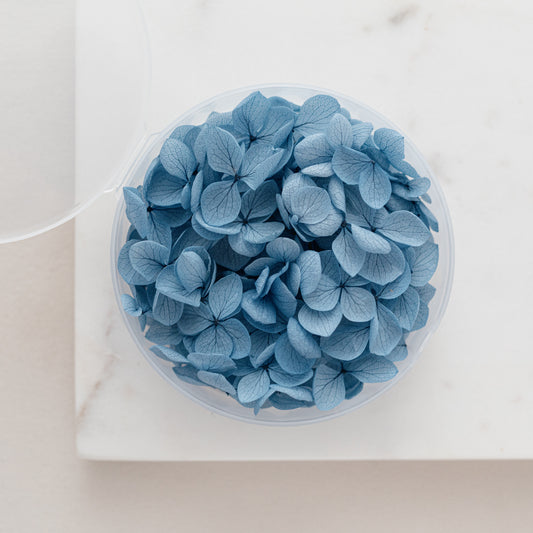 Midnight Blue – Dried Hydrangea Petals