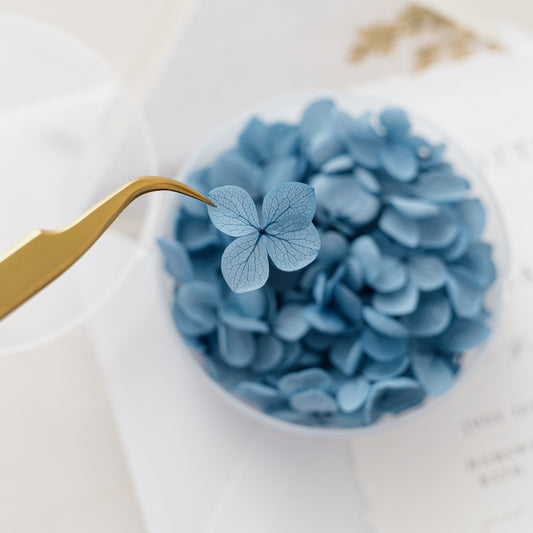 Midnight Blue – Dried Hydrangea Petals