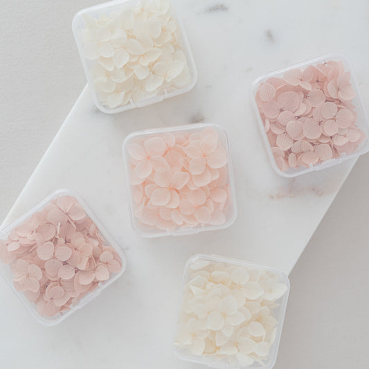 ✧ 50% OFF ✧ Dried Hydrangea Petals, 32 Colours