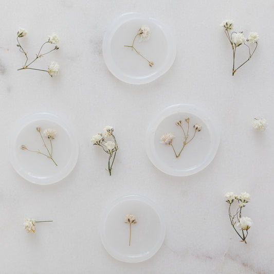 Baby's Breath (Gypsophila) Vellum Seals