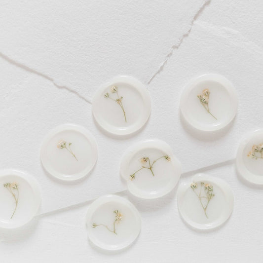Baby's Breath (Gypsophila) Semi-Transparent Vellum Seals