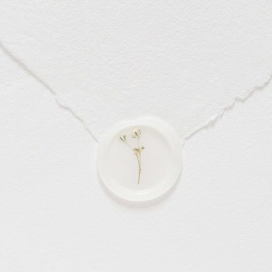 Baby's Breath (Gypsophila) Semi-Transparent Vellum Seals