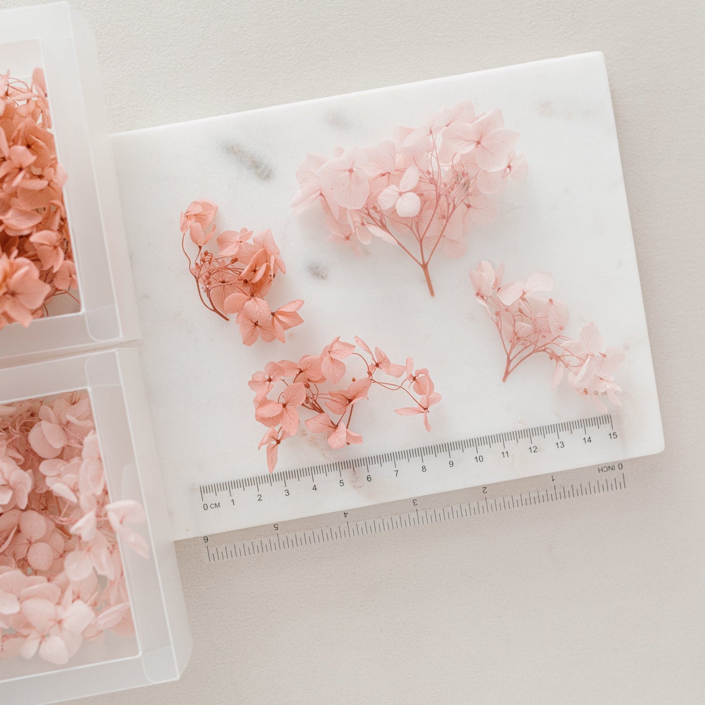English Rose – Dried Hydrangea Box