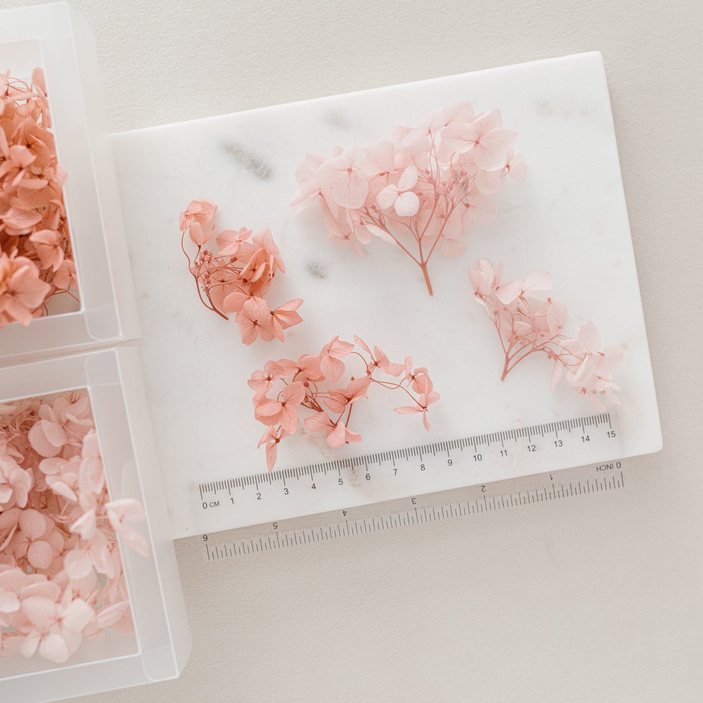 Pale Blush – Dried Hydrangea Box