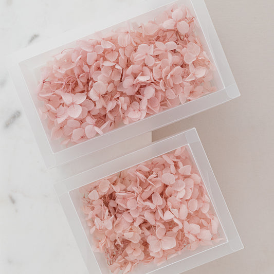 Pale Blush – Dried Hydrangea Box
