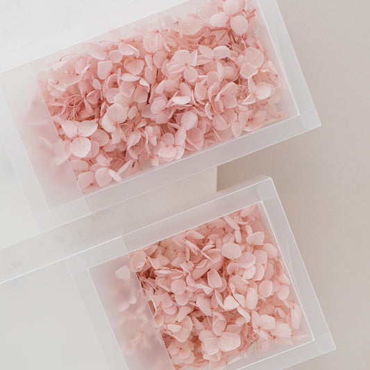 Pale Blush – Dried Hydrangea Box