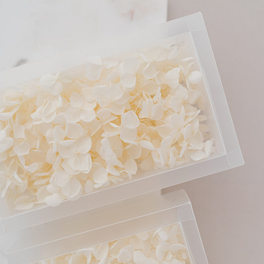 Cotton – Dried Hydrangea Box