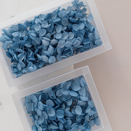 Midnight Blue – Dried Hydrangea Box