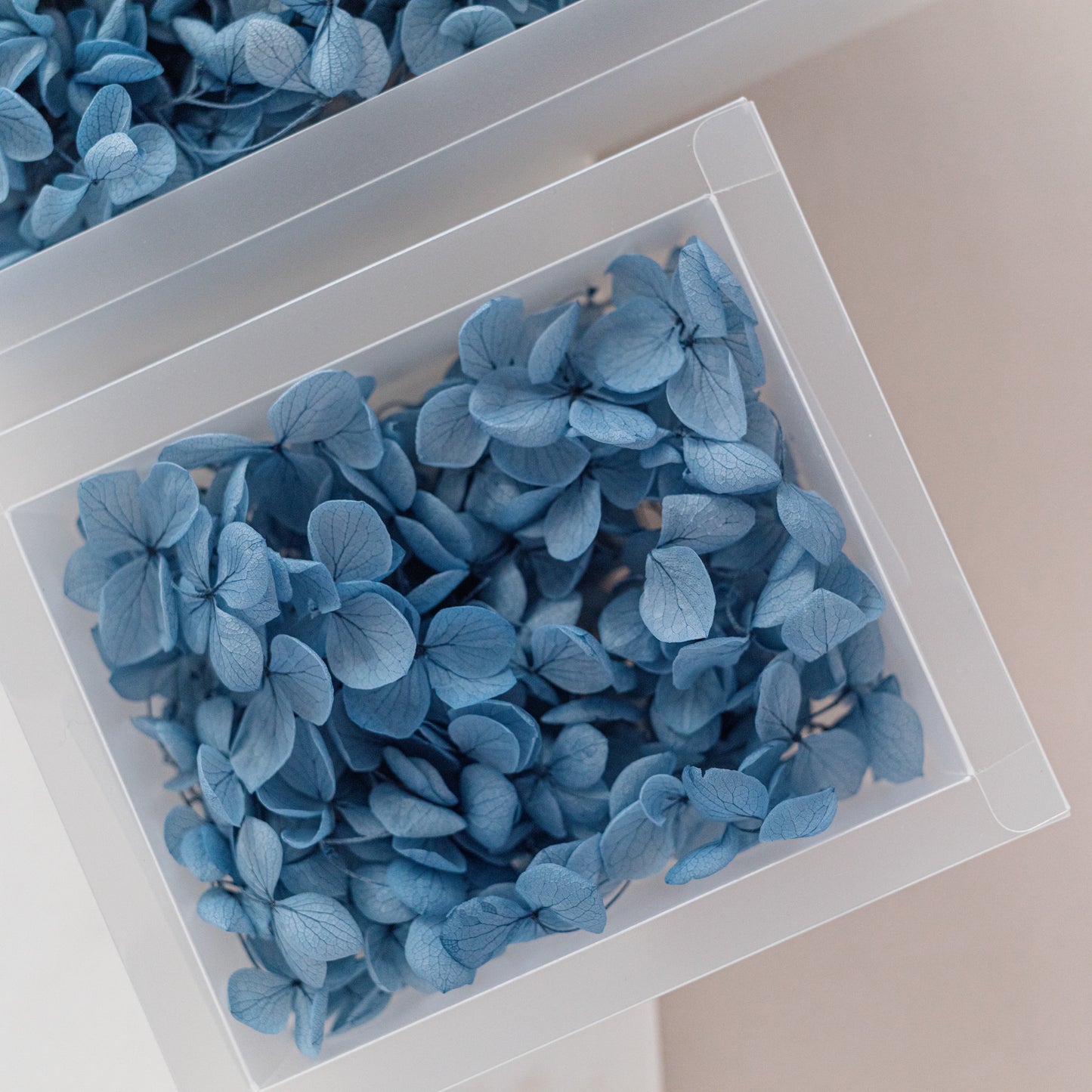 Midnight Blue – Dried Hydrangea Box