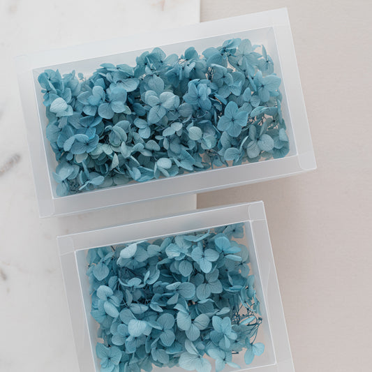 Aegean – Dried Hydrangea Box