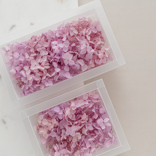 Mauve – Dried Hydrangea Box