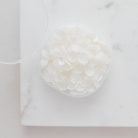 White – Dried Hydrangea Petals