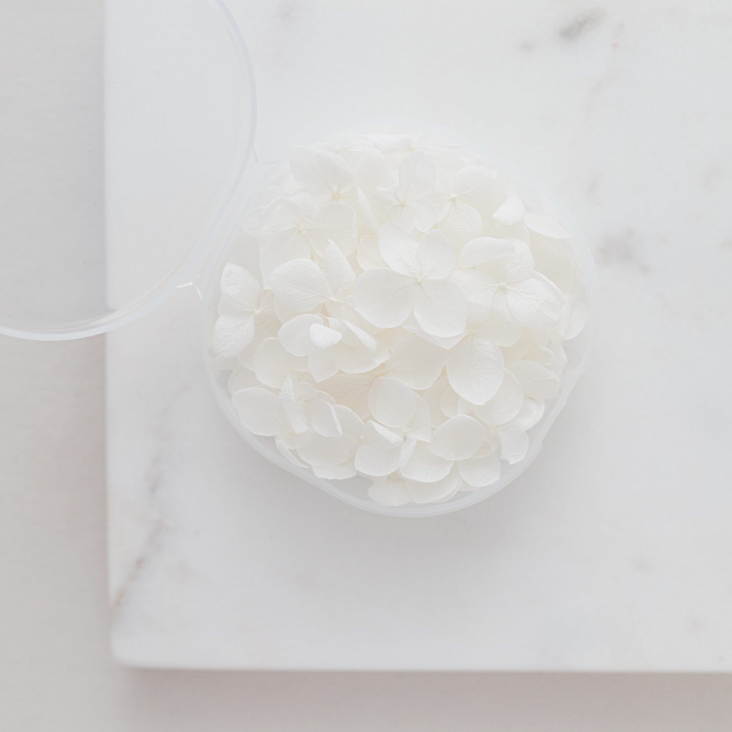 White – Dried Hydrangea Petals