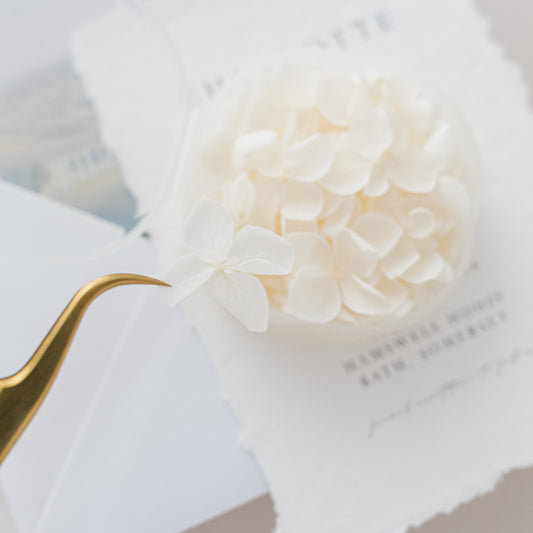 Cotton – Dried Hydrangea Petals