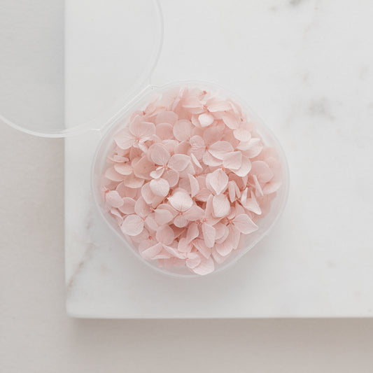 Pale Blush – Dried Hydrangea Petals