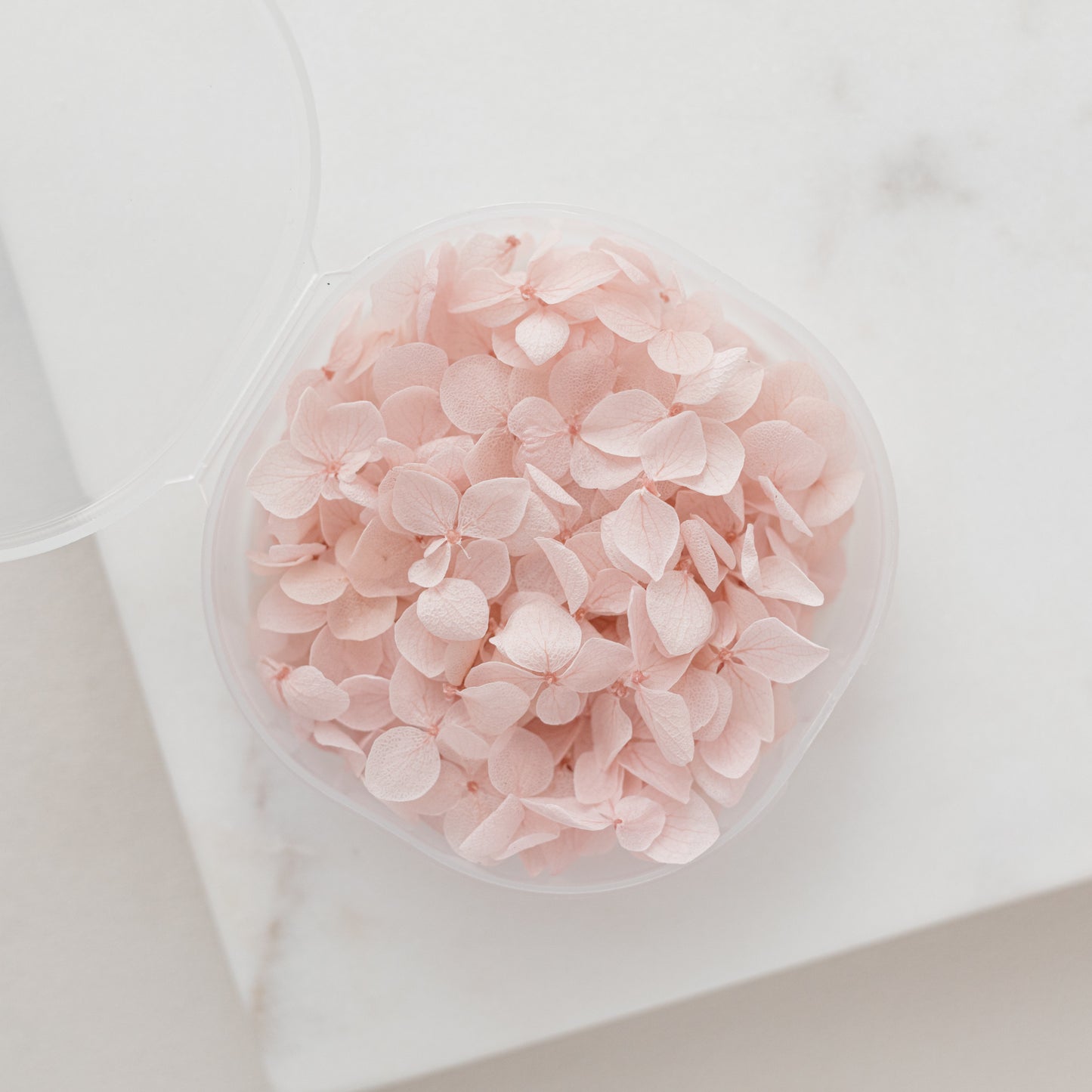 Pale Blush – Dried Hydrangea Petals