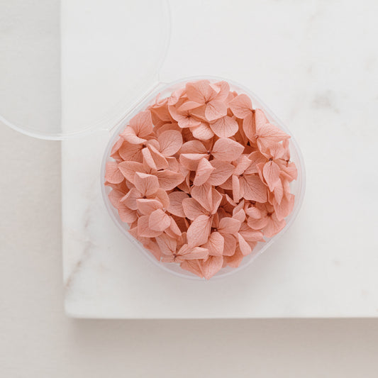 English Rose – Dried Hydrangea Petals