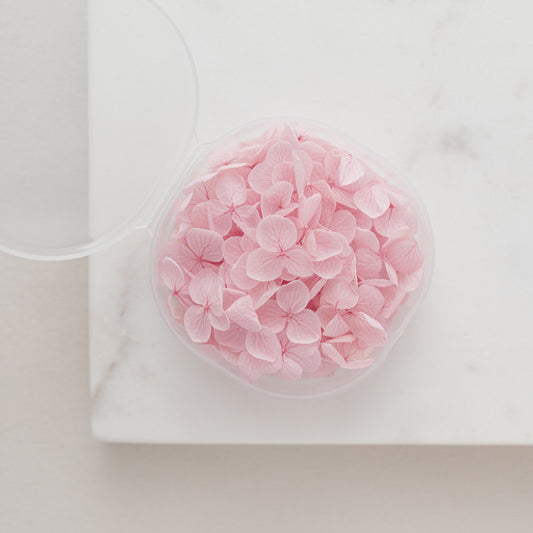 Orchid – Dried Hydrangea Petals