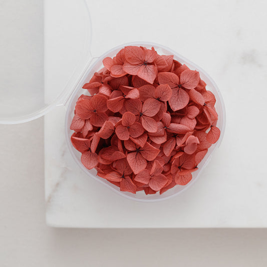 Merlot – Dried Hydrangea Petals