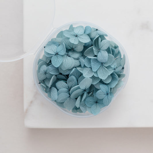 Aegean – Dried Hydrangea Petals