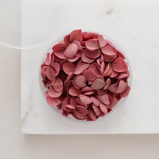Carmine – Dried Hydrangea Petals