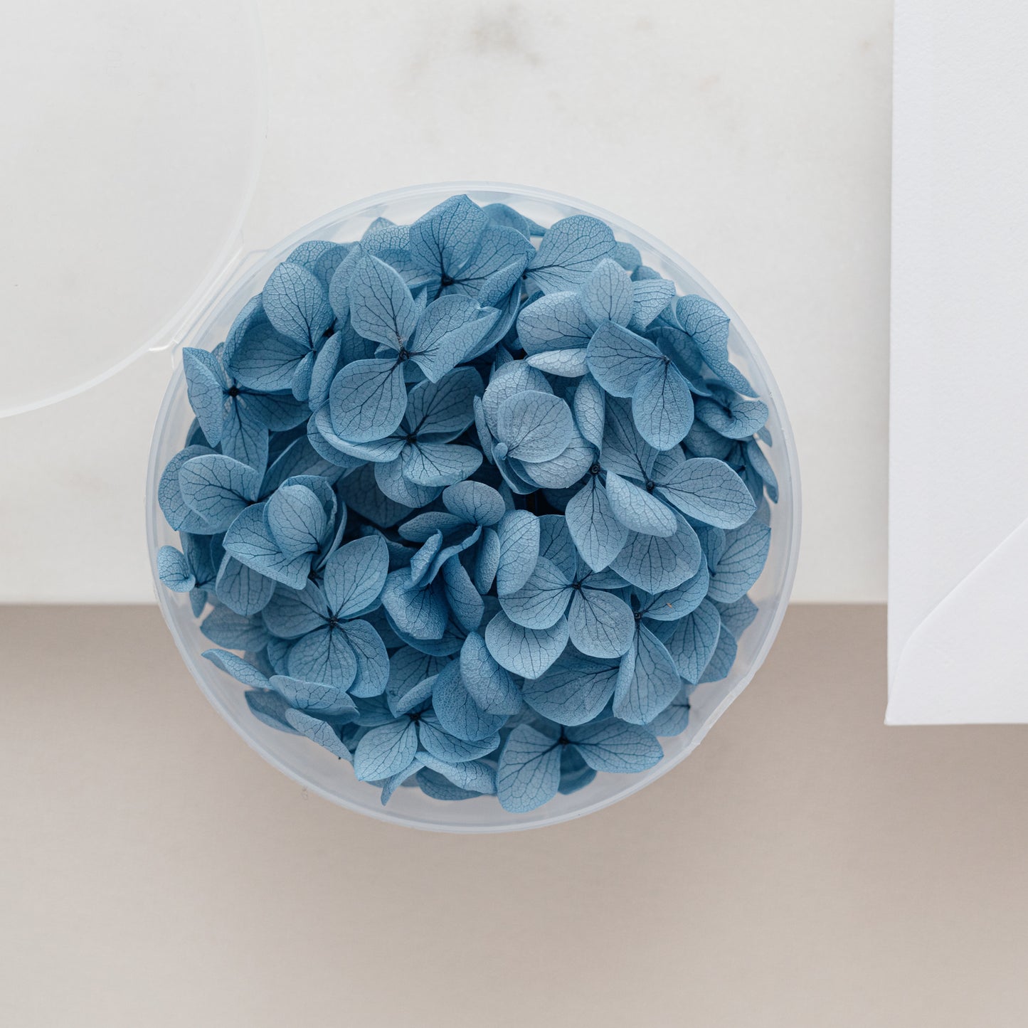 Midnight Blue – Dried Hydrangea Petals