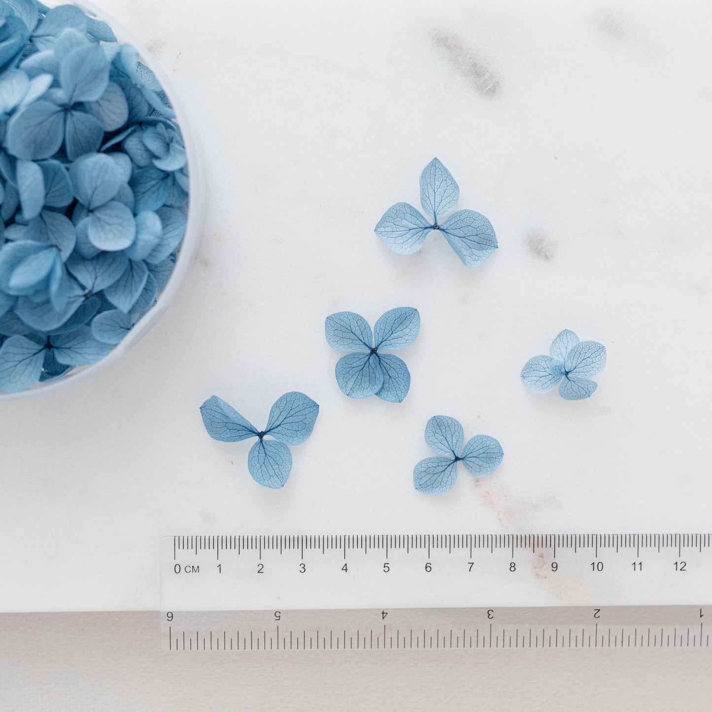 Midnight Blue – Dried Hydrangea Petals