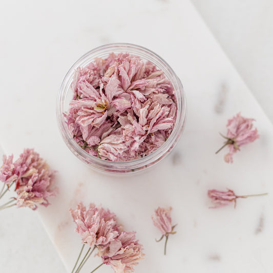 ✧ SALE ✧ Dried Cherry Blossoms