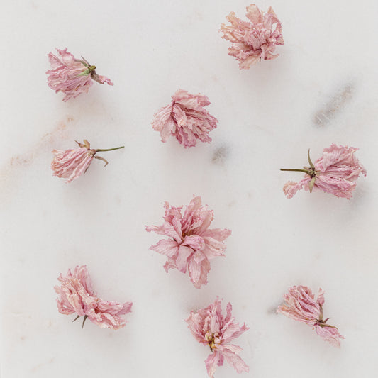 Dried Cherry Blossoms