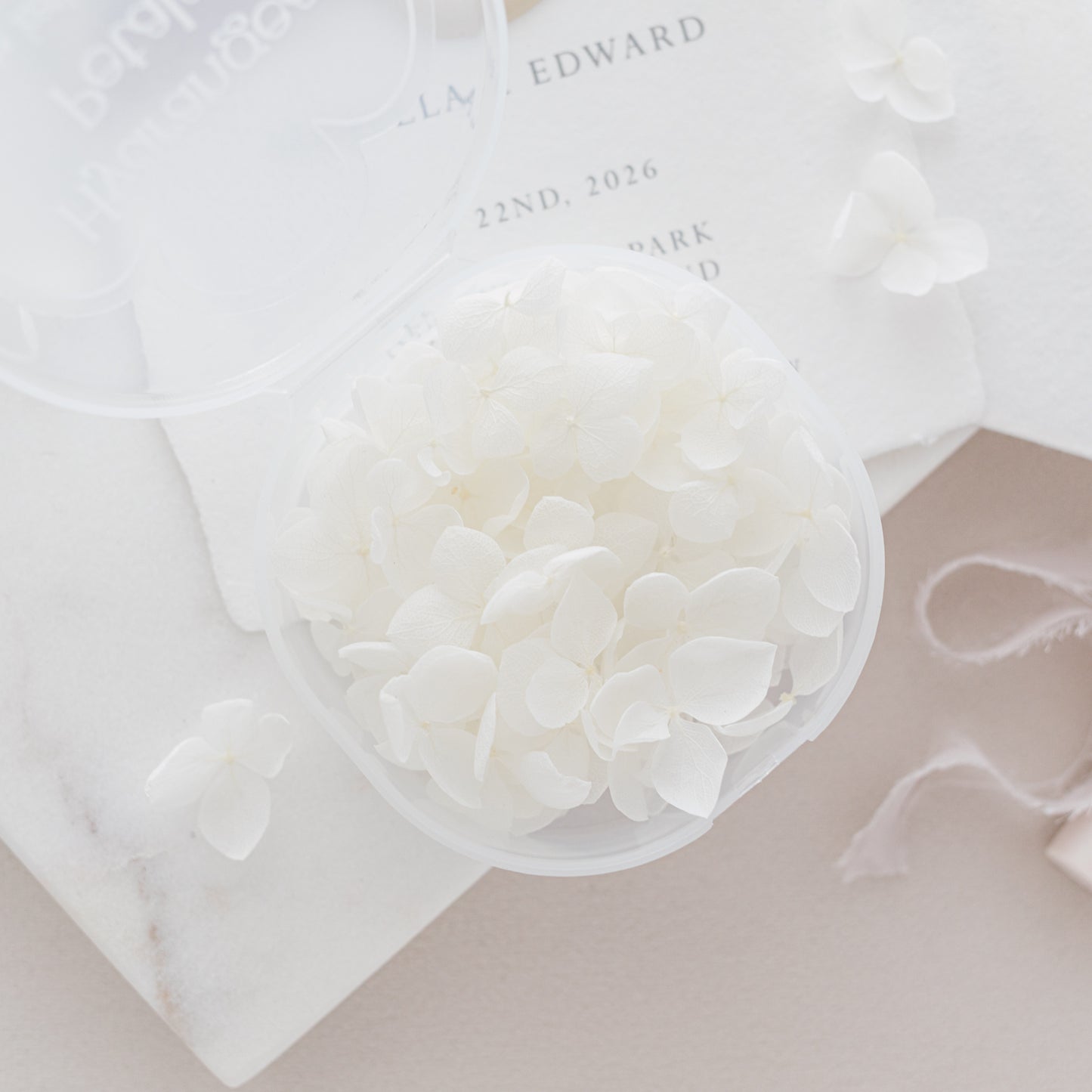 White – Dried Hydrangea Petals