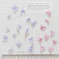 ✧ 50% OFF ✧ Dried Hydrangea Petals, 32 Colours
